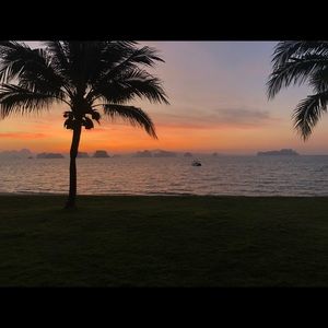 Meet your Posher, Marvelus